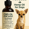 cbd-oil-for-dogs-uk-hemp-oil-for-dogs-uk-muo-muo-dogs-meningitis-in-dogs-symptoms-cbd-pets